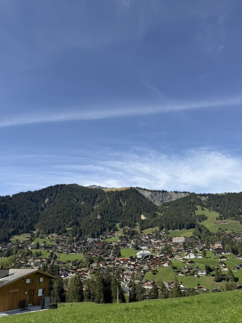 Things to Do in Adelboden with Kids: Village & Engstligen&nbsp;Falls